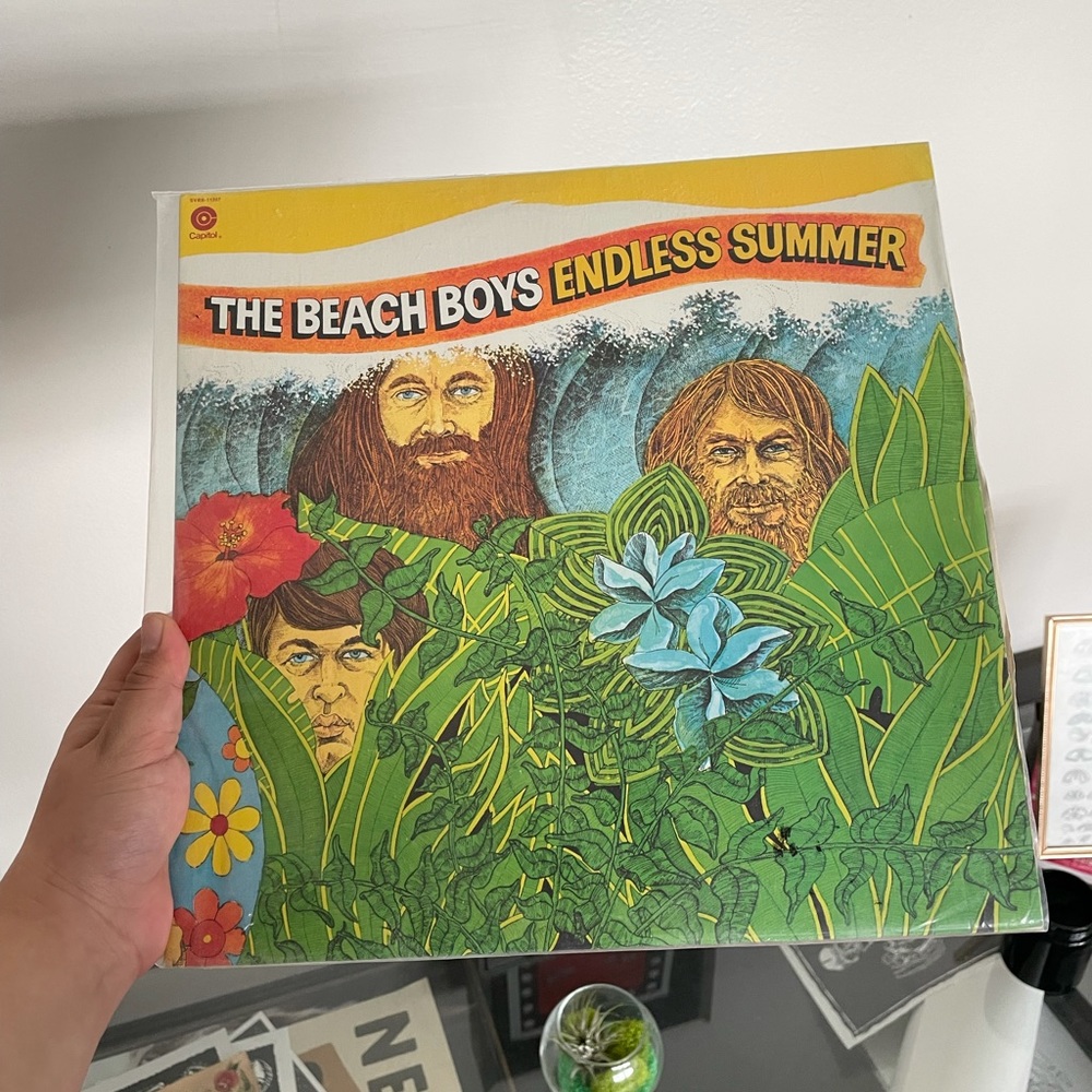 The Beach Boys Endless Summer Vinyl